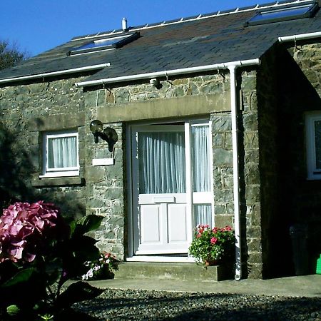 Ty R Pwmp Villa Haverfordwest Ngoại thất bức ảnh